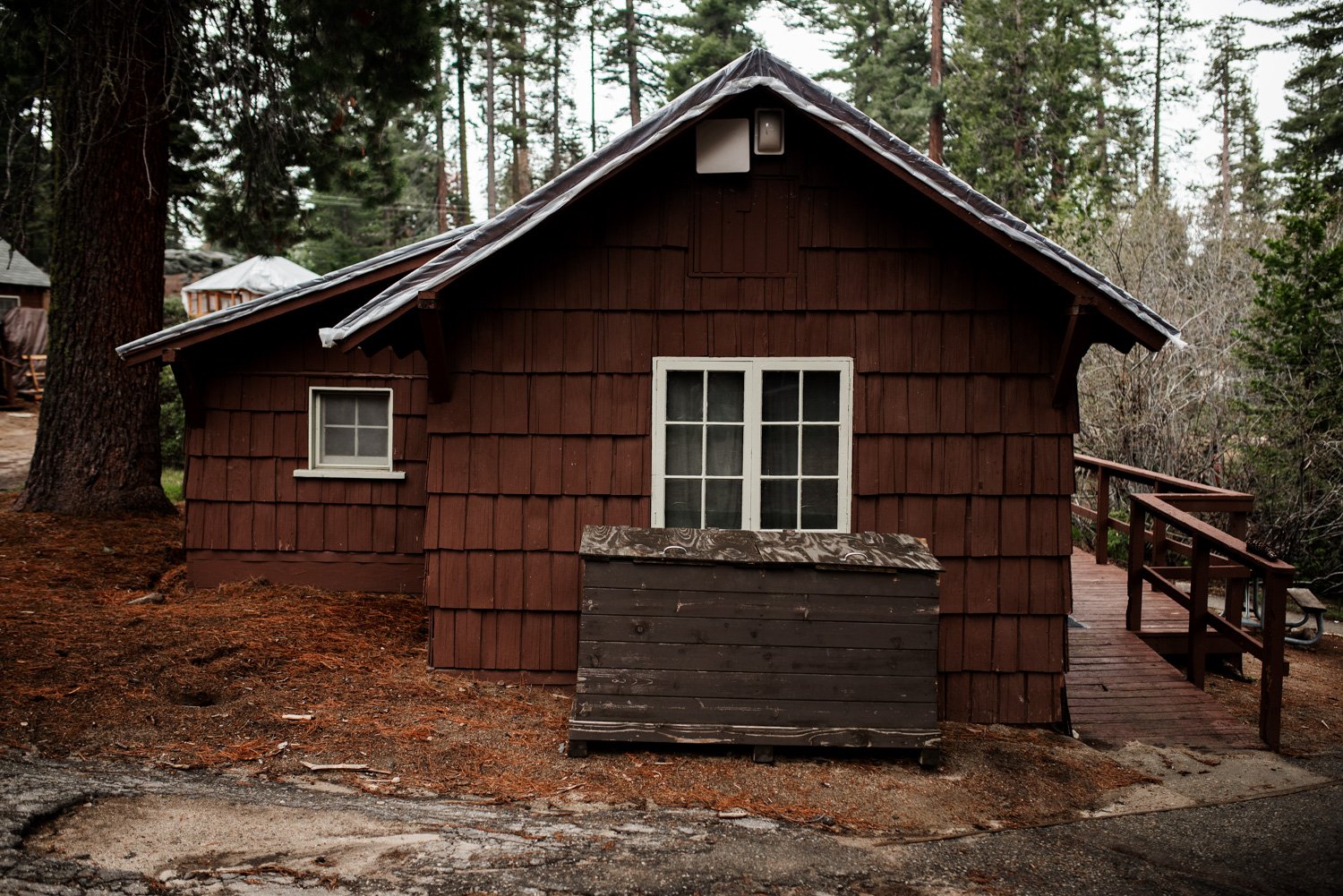 Sequoia National Park Elopement Photography