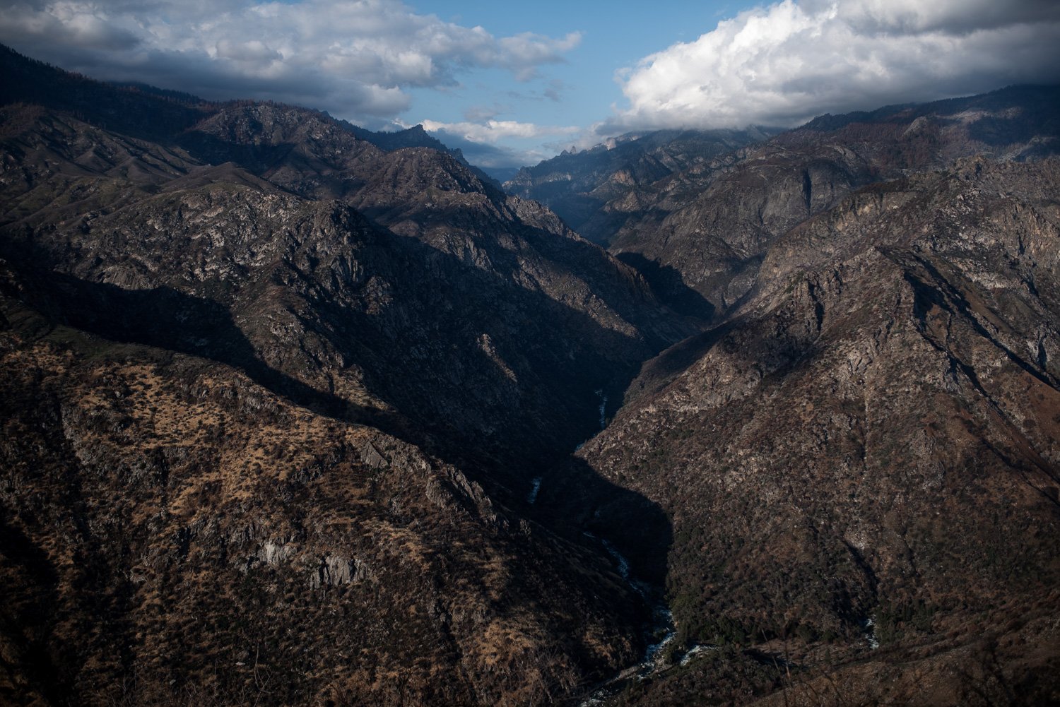 Sequoia National Park Elopement Photography