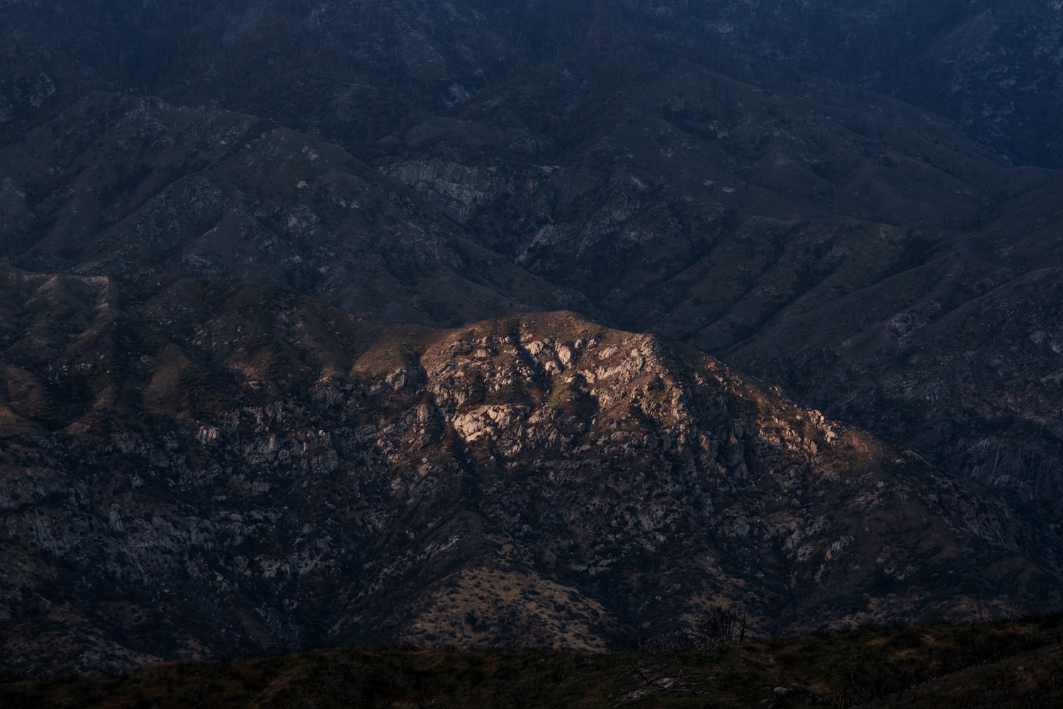 Sequoia National Park Elopement Photography