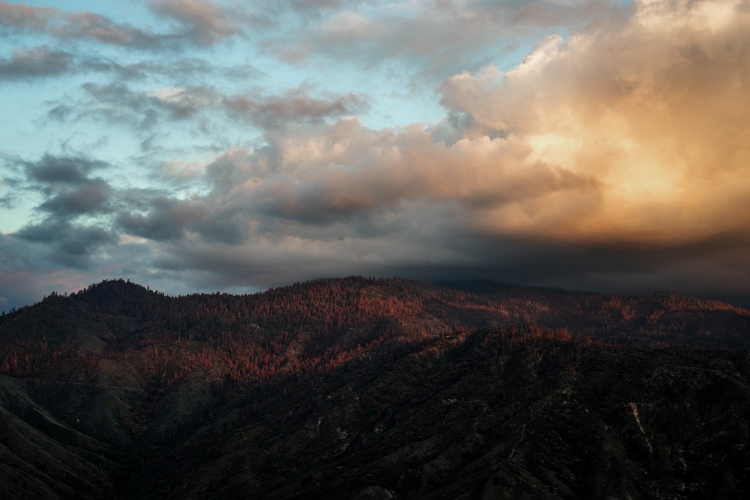 Sequoia National Park Elopement Photography