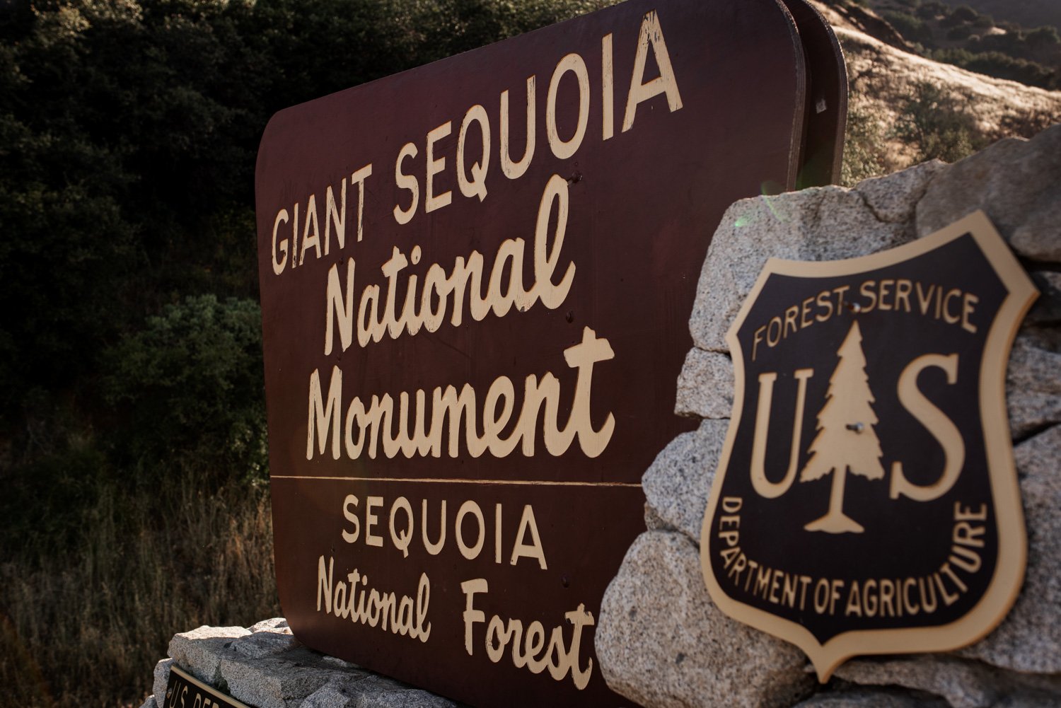 Sequoia National Park Elopement Photography