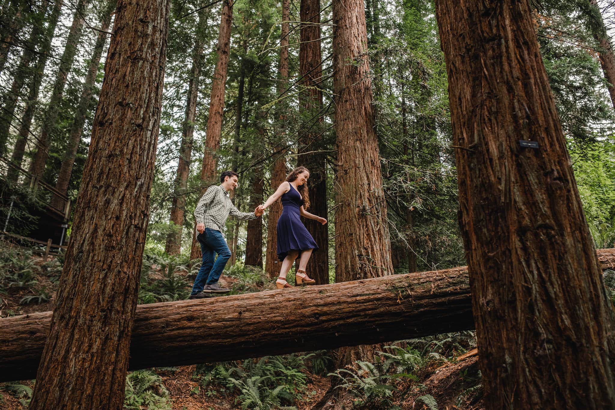 Hoyt Arboretum Engagement Session 001 1