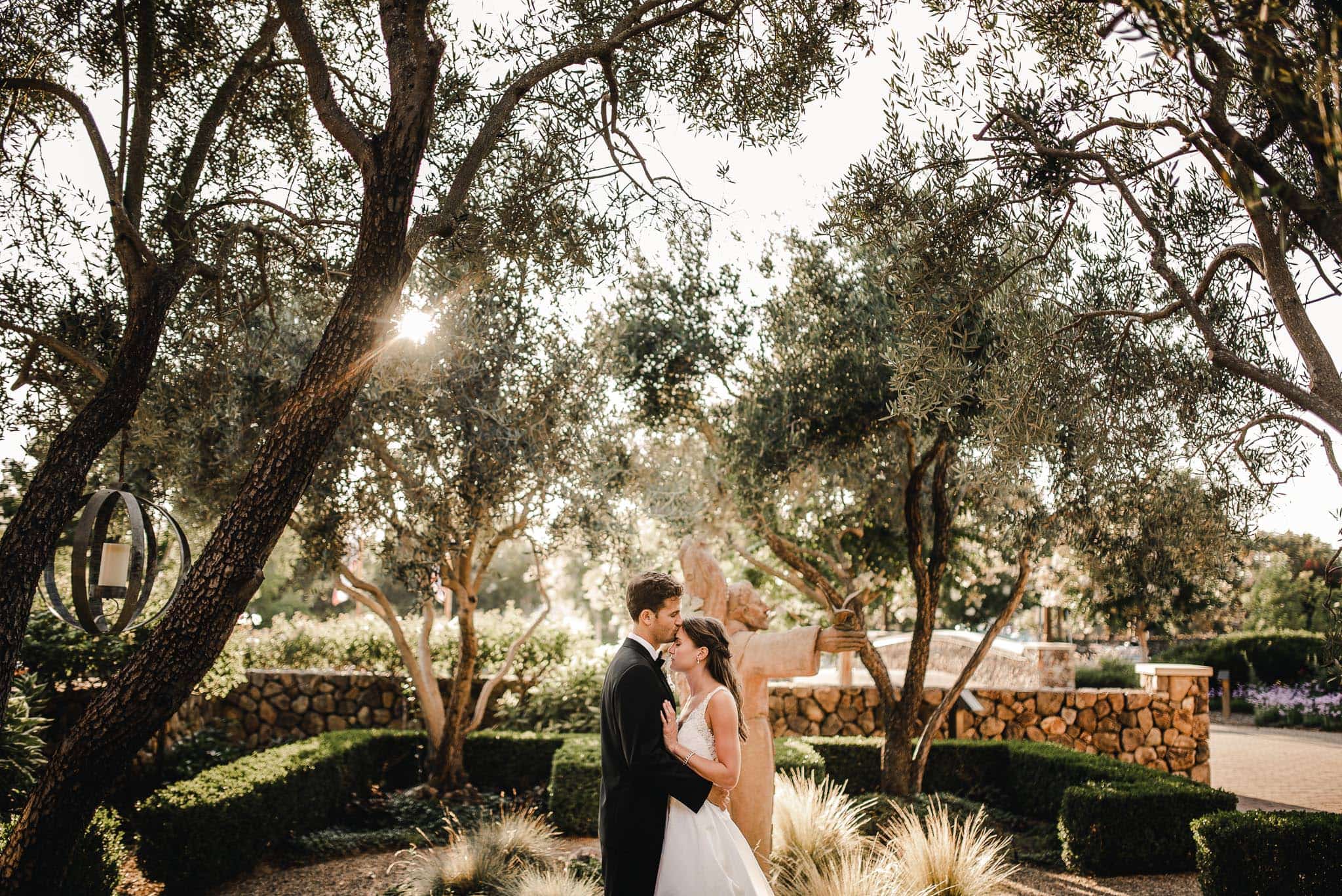 Sonoma California Destination Wedding Photography 001 1