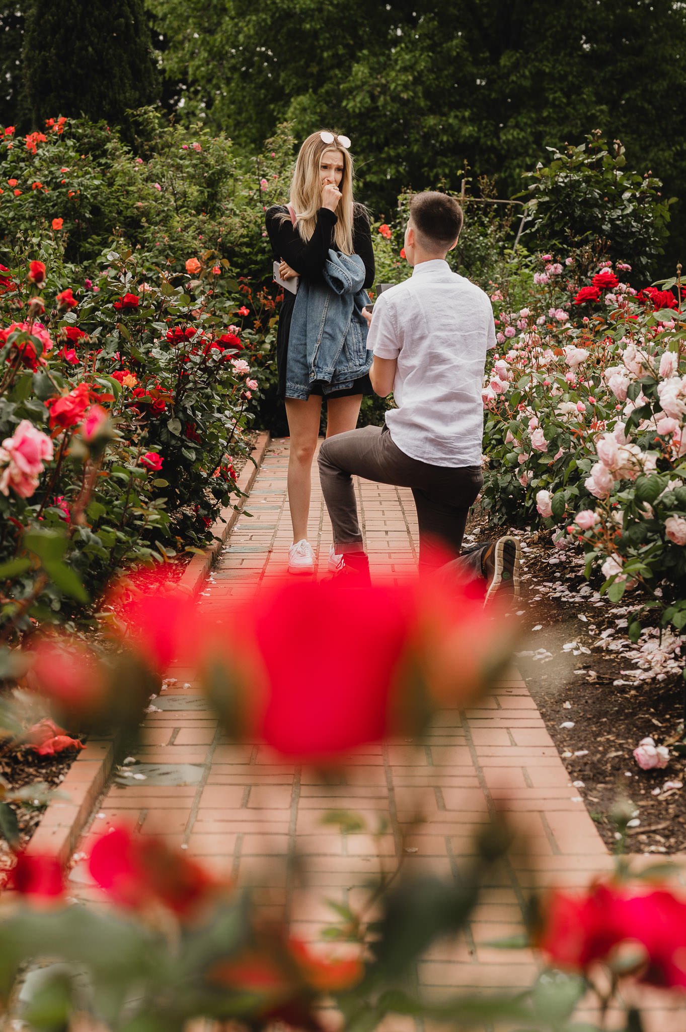Portland Rose Garden Surprise Proposal