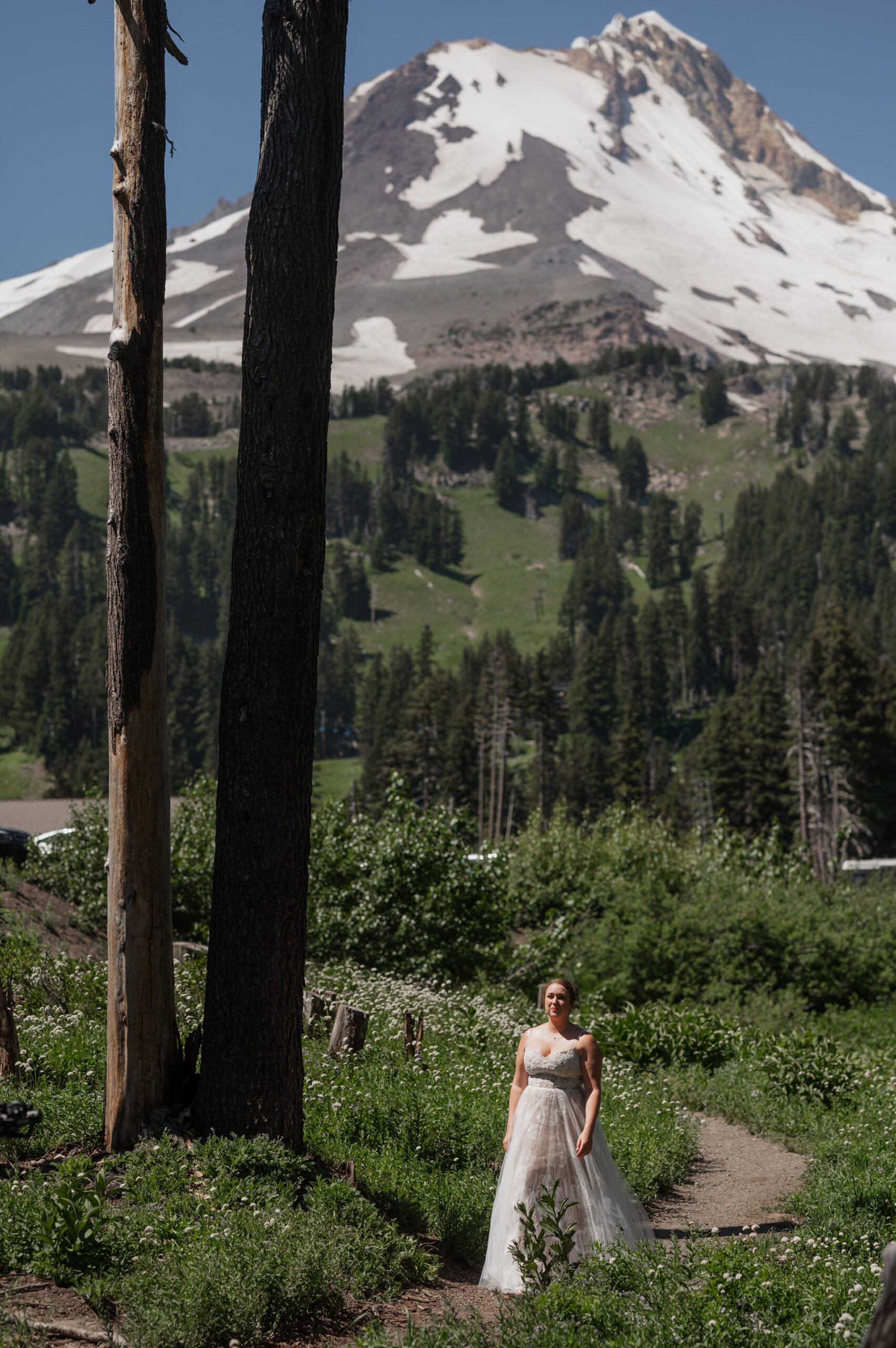 Summer Wedding At Mt Hood Meadows