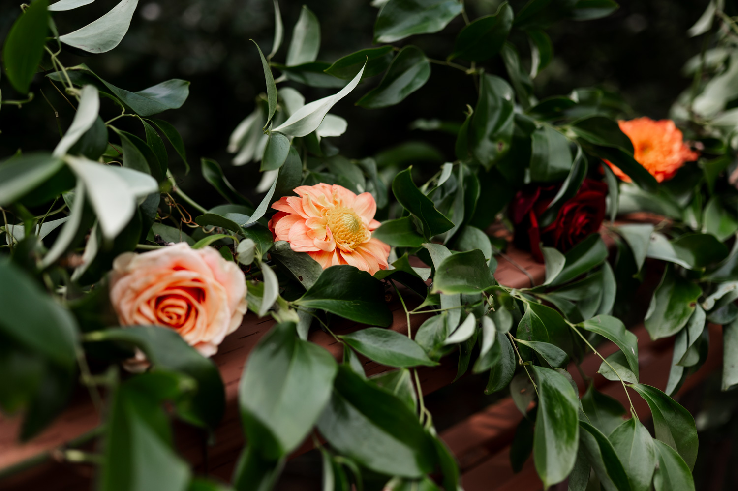 A variety of colorful roses and lush greenery are artfully arranged over a wooden surface against a blurred dark background, creating a romantic and enchanting scene.