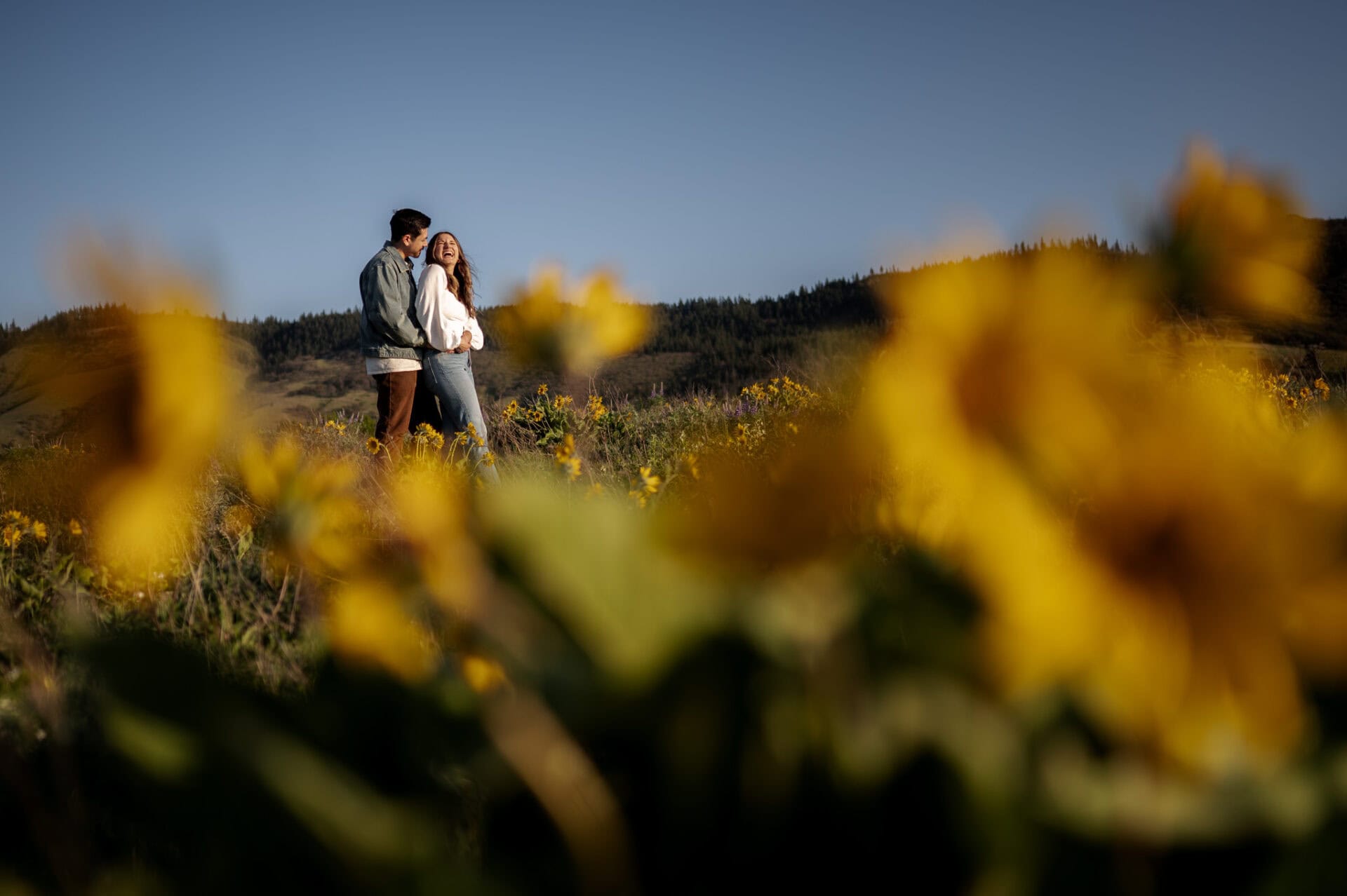 A couple stands together in a field of yellow wildflowers at Rowena Crest during their engagement session, with green hills and a clear sky in the background.